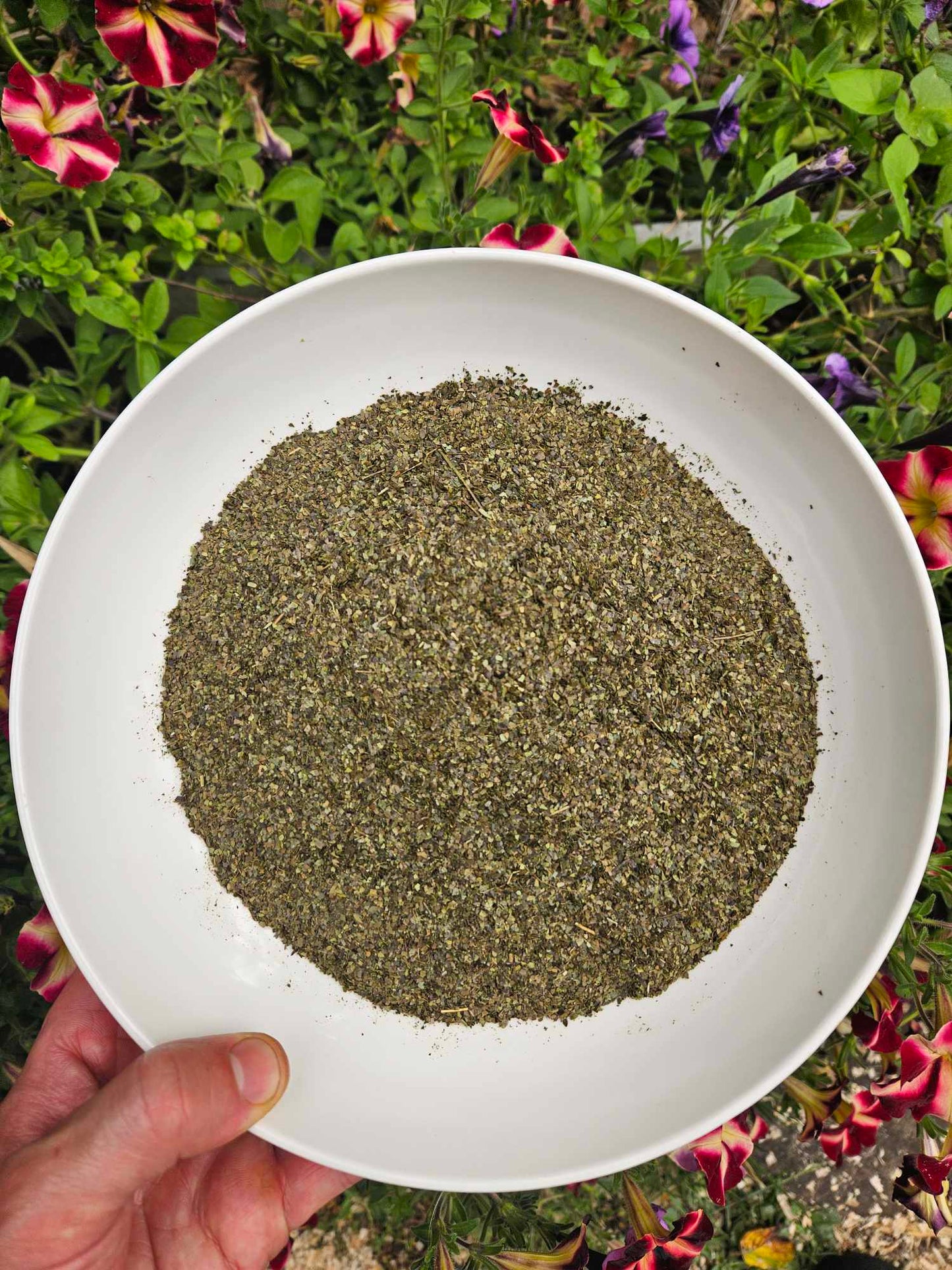 Guayusa Tea ~ 1 Pound ~ Loose Tea ~ Organic ~ 50+ Servings