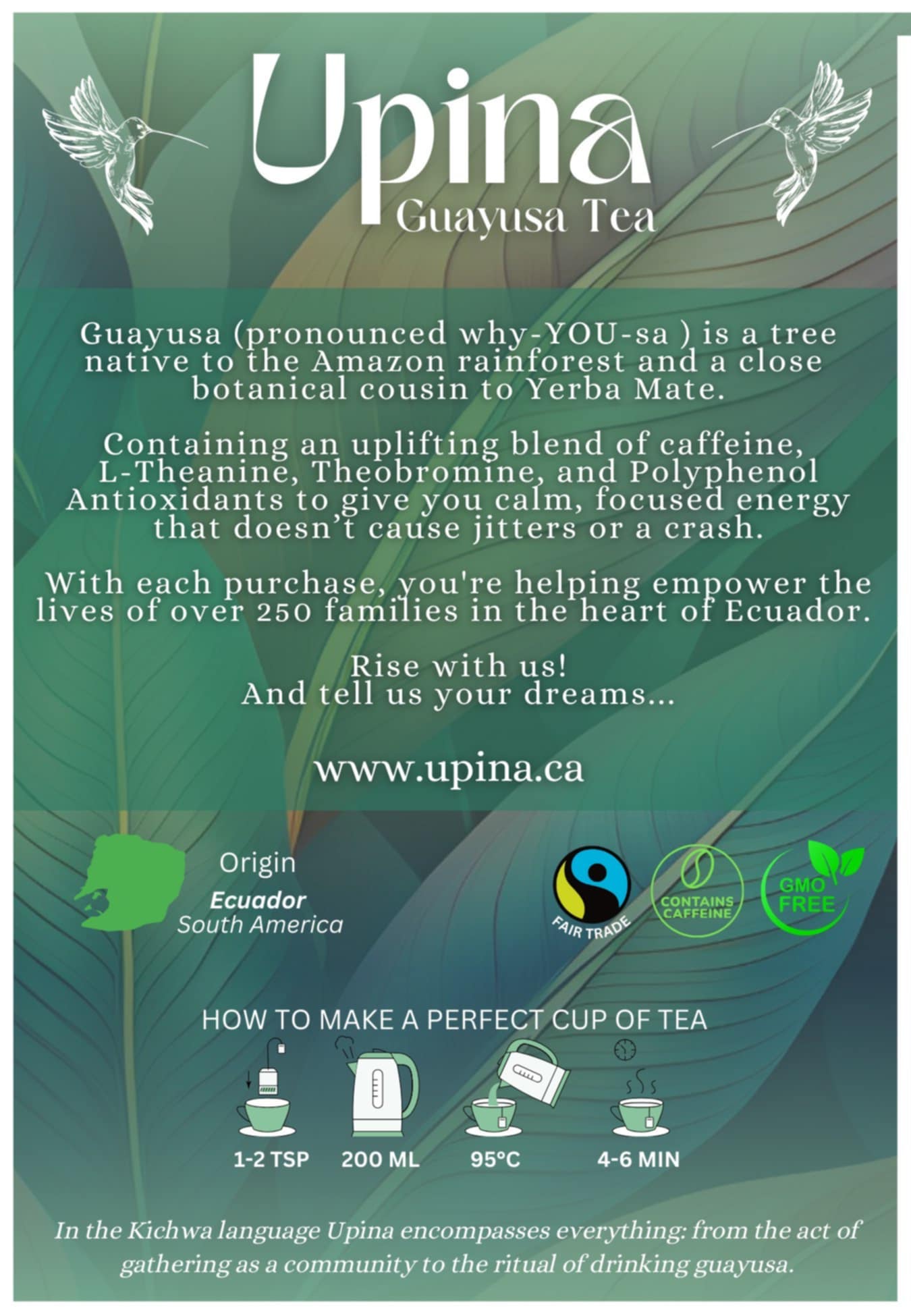 Guayusa Tea ~ 1 Pound ~ Loose Tea ~ Organic ~ 50+ Servings