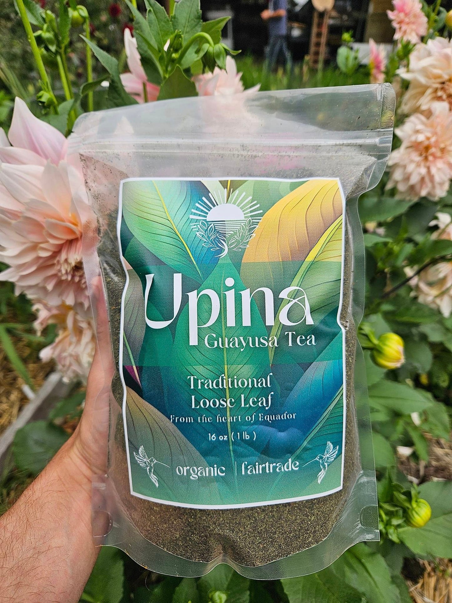Guayusa Tea ~ 1 Pound ~ Loose Tea ~ Organic ~ 50+ Servings