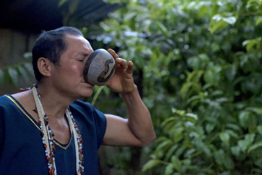 The Kichwa People & Guayusa: A Sacred Tradition from the Heart of the Amazon