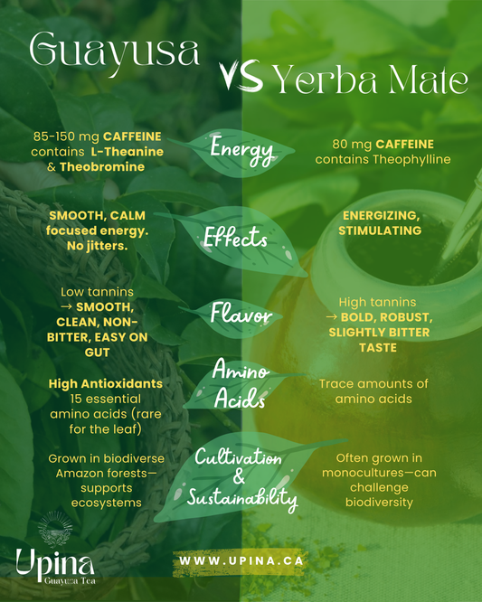 Guayusa vs Yerba Mate: What's the Difference?