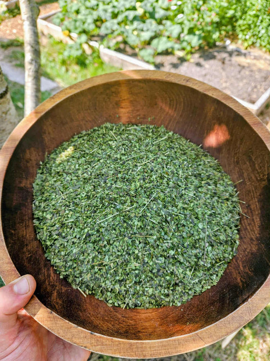 Guayusa ~ 10 Pounds ~ Free Shipping in Canada! ~ Organic ~ Fair-Trade