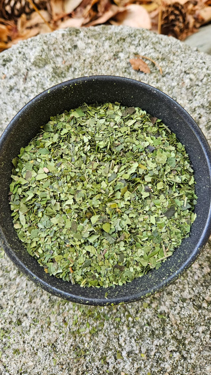 Guayusa